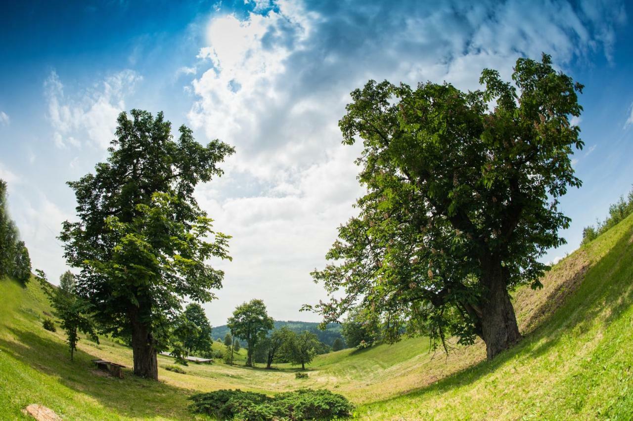 Potoczek 19 Villa Międzylesie Exteriör bild