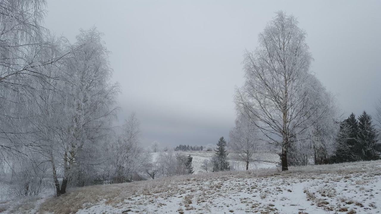 Potoczek 19 Villa Międzylesie Exteriör bild