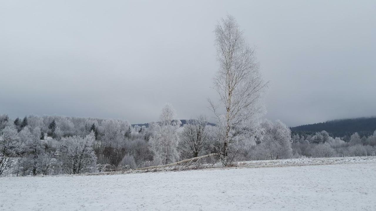Potoczek 19 Villa Międzylesie Exteriör bild